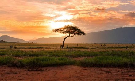 Kaspersky y Smart Africa se alían estratégicamente  para fortalecer la ciberseguridad en África
